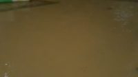 IMG_26062022_180329_(1080_x_1080_piksel)