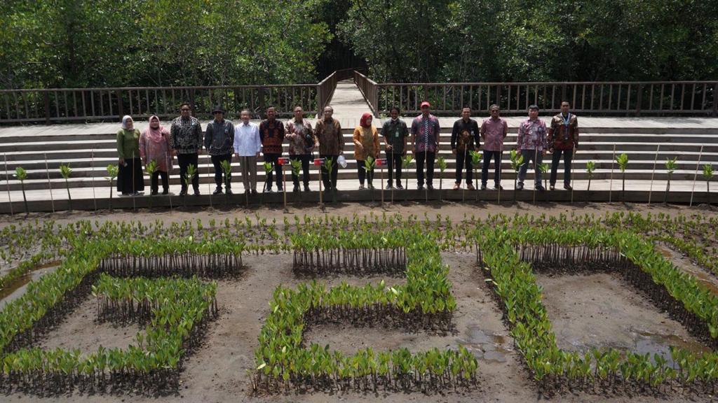 PTBA MANGROVE