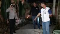 IMG_20221222_181559