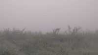 IMG-20231007-WA0034