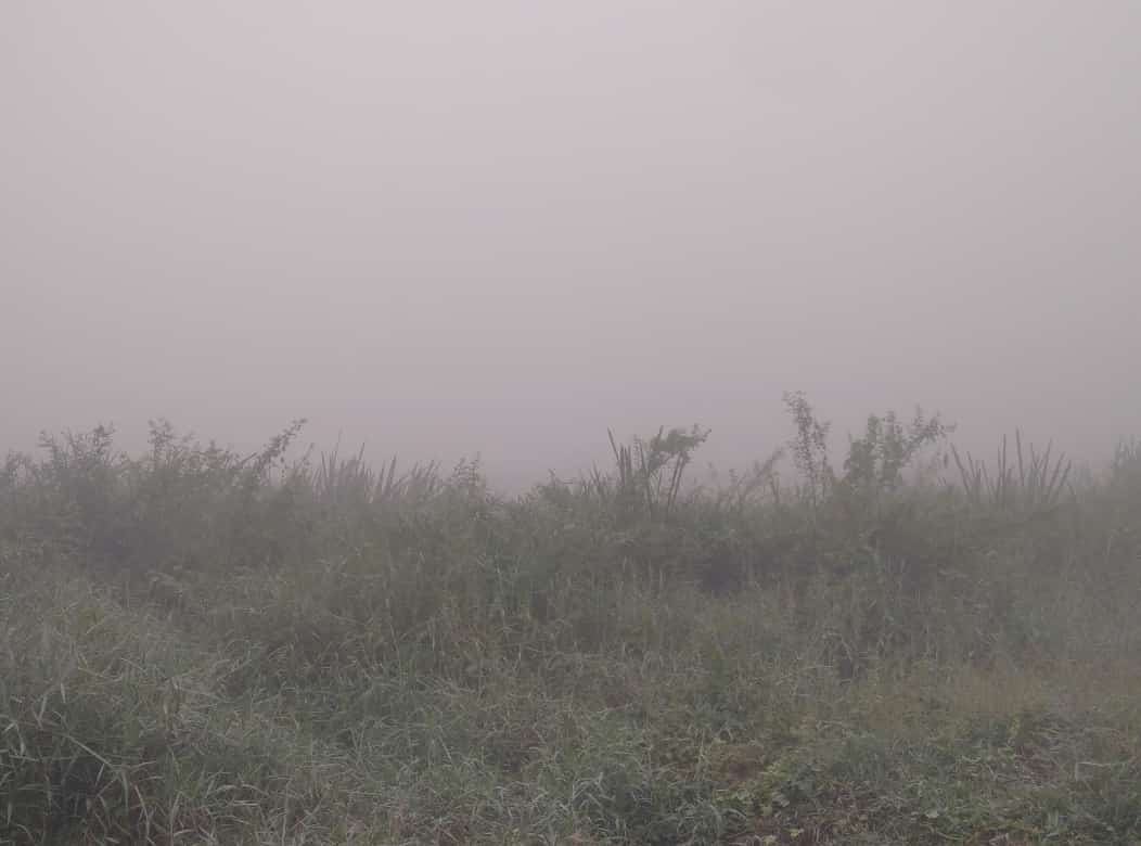 IMG-20231007-WA0034