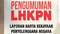 lhkpn